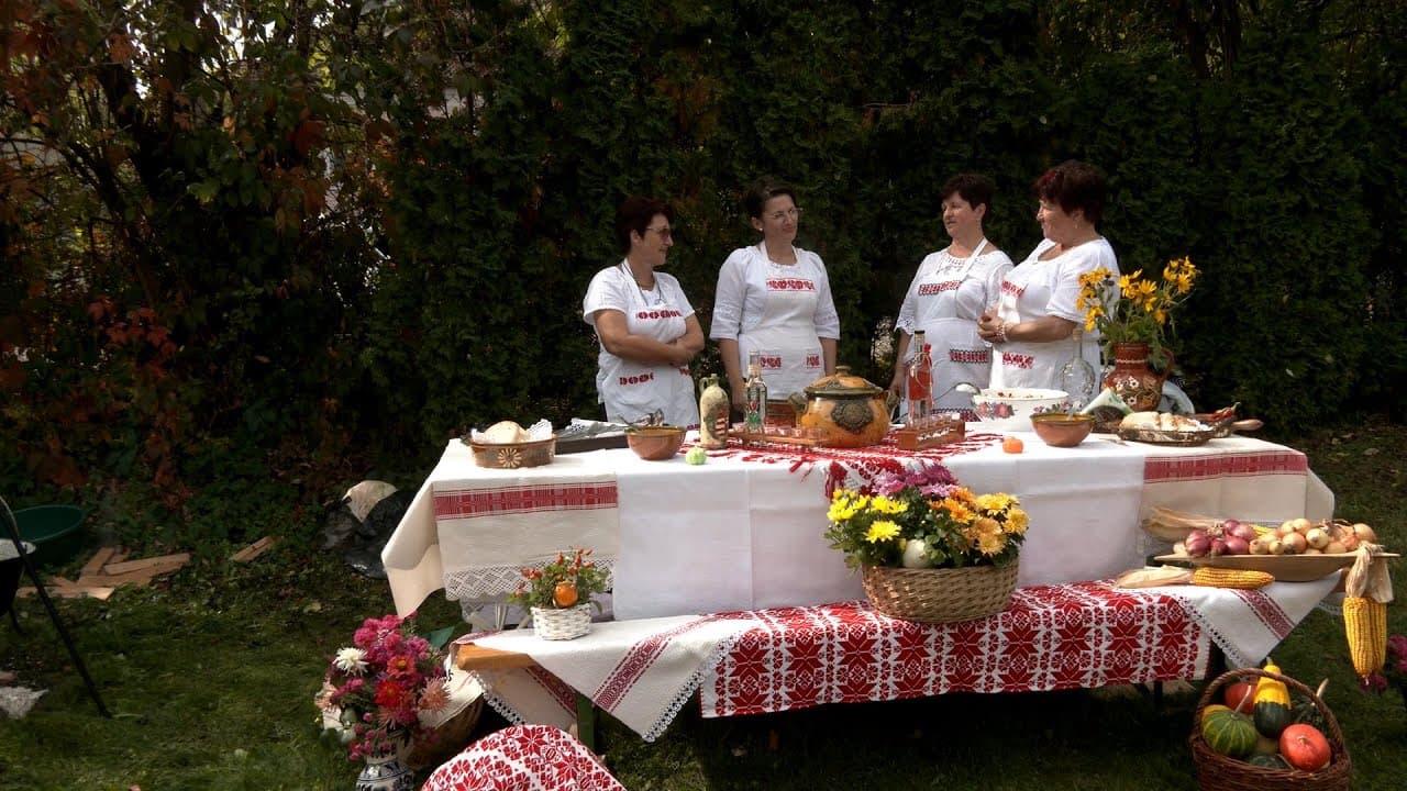 100 recept, 100 háziasszony - szakácskönyv sorozat bemutató és örömfőzés