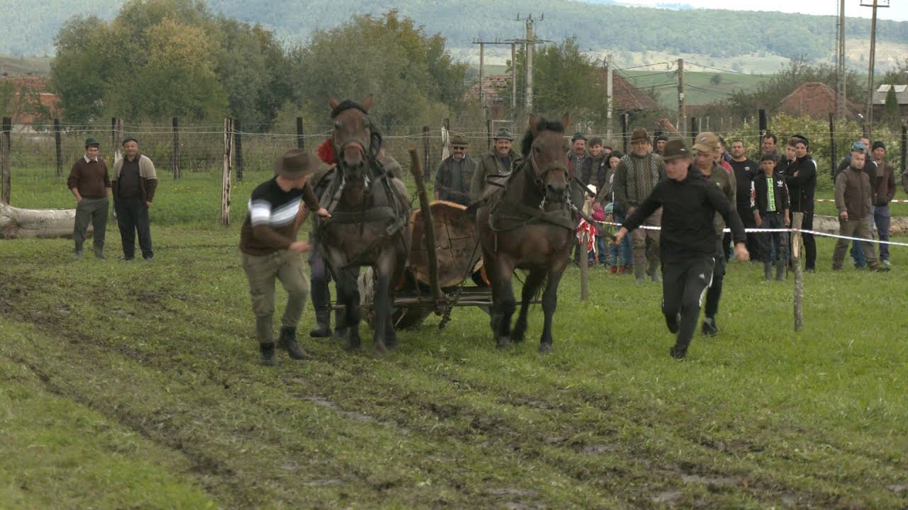 Munkalovak versenye Felsőrákoson 2022.