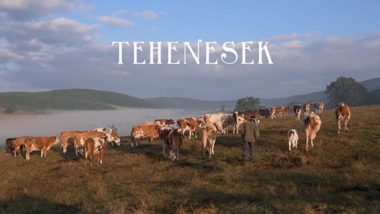 Tehenesek