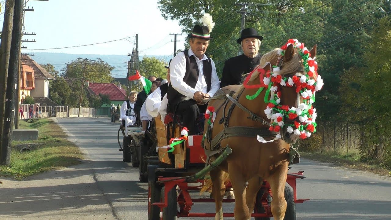 Nyugdíjasok szüreti mulatsága Vargyason