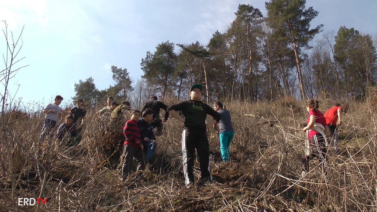 Emlékerdő Középajtán