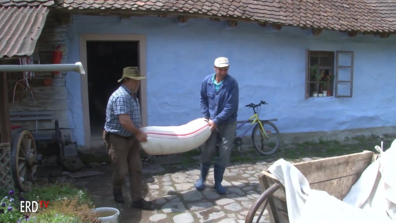 Molnárság, gabonaőrlés a kisbaconi vízimalomban