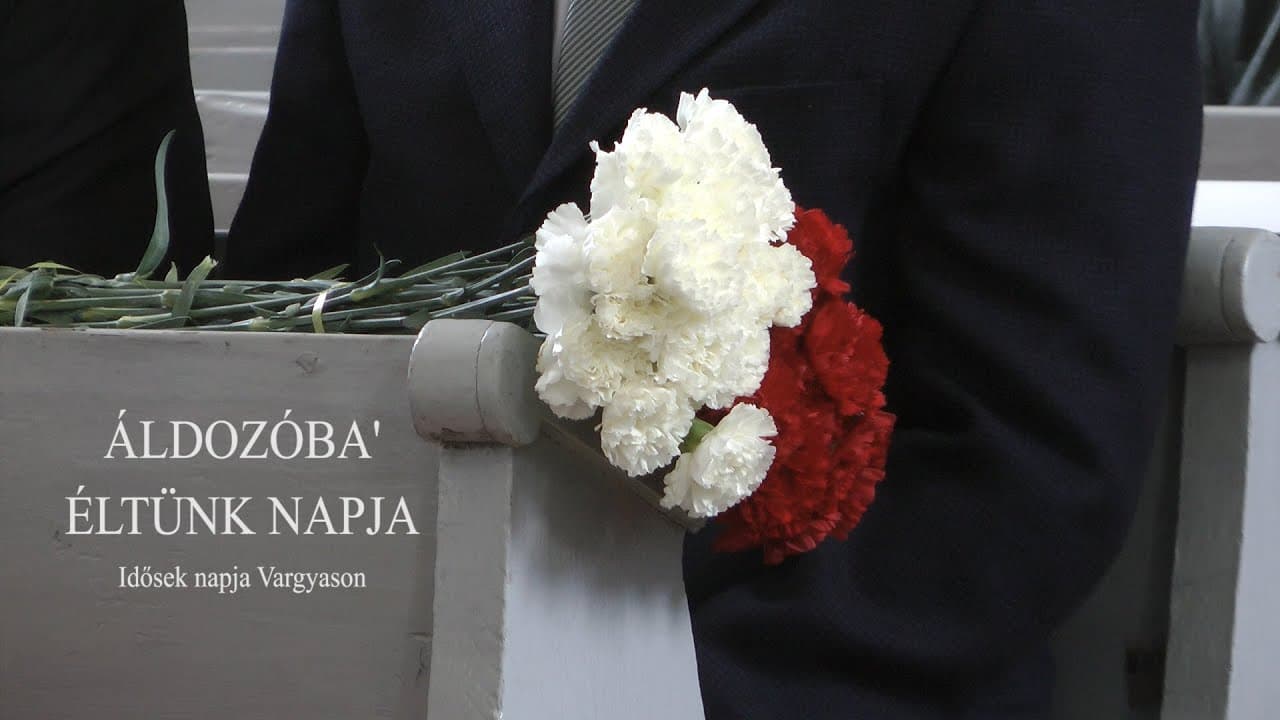 Áldozóba' éltünk napja.