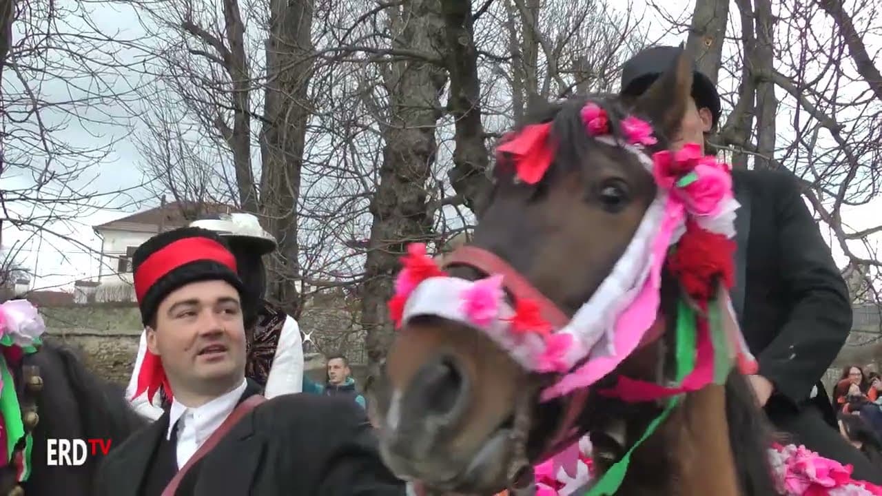 Bölöni farsang, 2017
