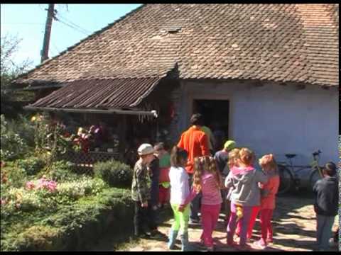Értékteremtő programok Bacon községben